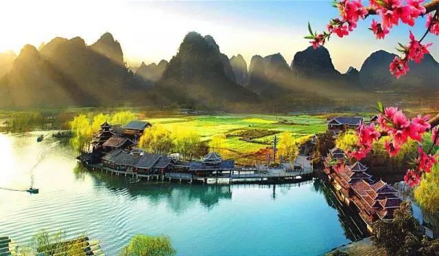 植物大战僵尸10